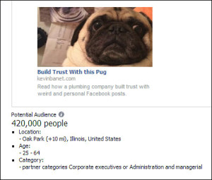 Ad made from pug dog with Oak Park target